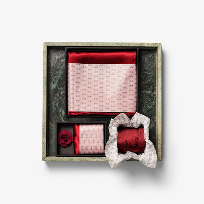 Giftbox Solid Paisley Tie Herren