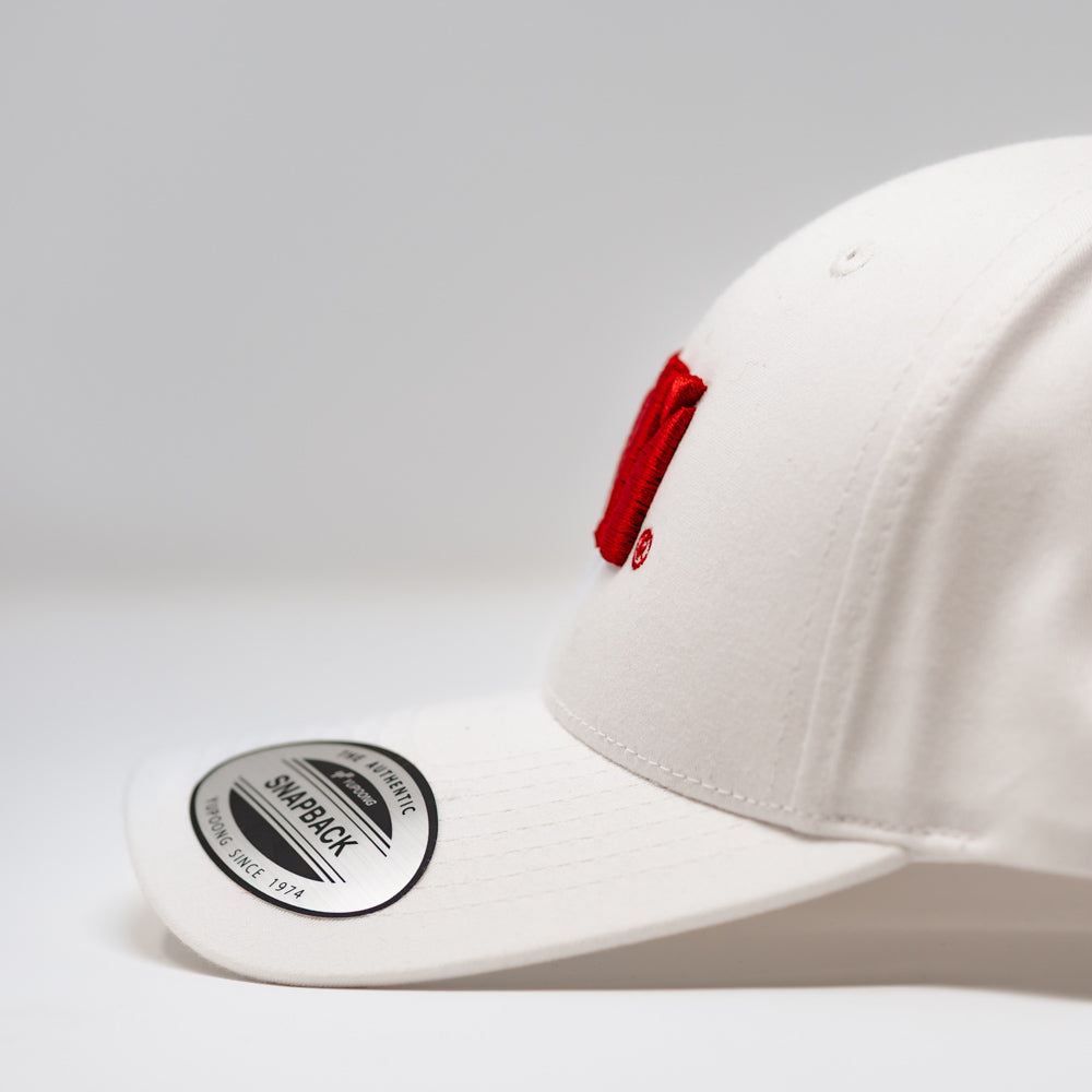 Baseball Cap 6 Panel Snapback Classic mit 3D Stickerei